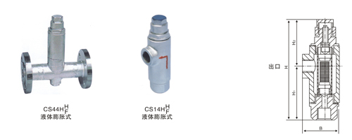 液體膨脹式蒸汽疏水閥.jpg